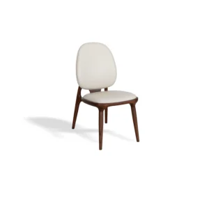 DYHwood Teak Dining Chair CY905