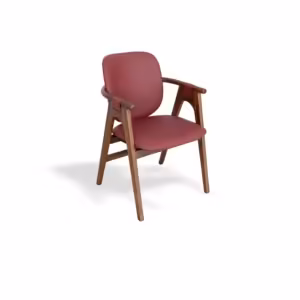DYHwood Teak Dining Chair CY909